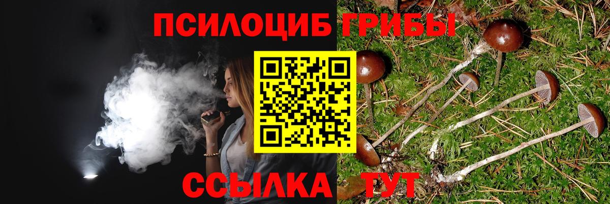 Галлюциногенные грибы GOLDEN TEACHER  Вход с VPN  Курчатов 