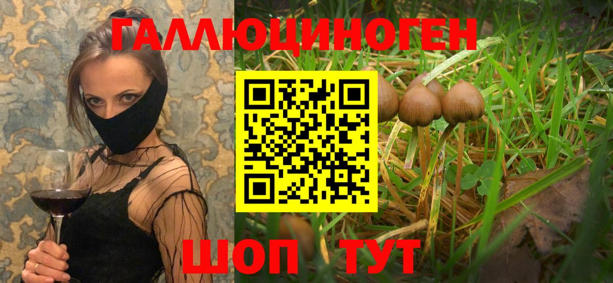 Псилоцибиновые грибы прущие грибы Курчатов